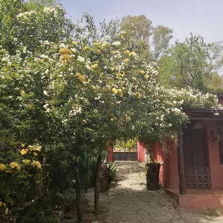 Eco Moyano Posada Gaucín Kültér fotó