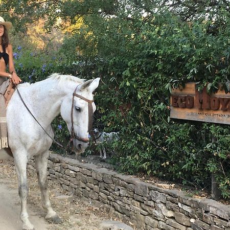 Eco Moyano Posada Gaucín Kültér fotó