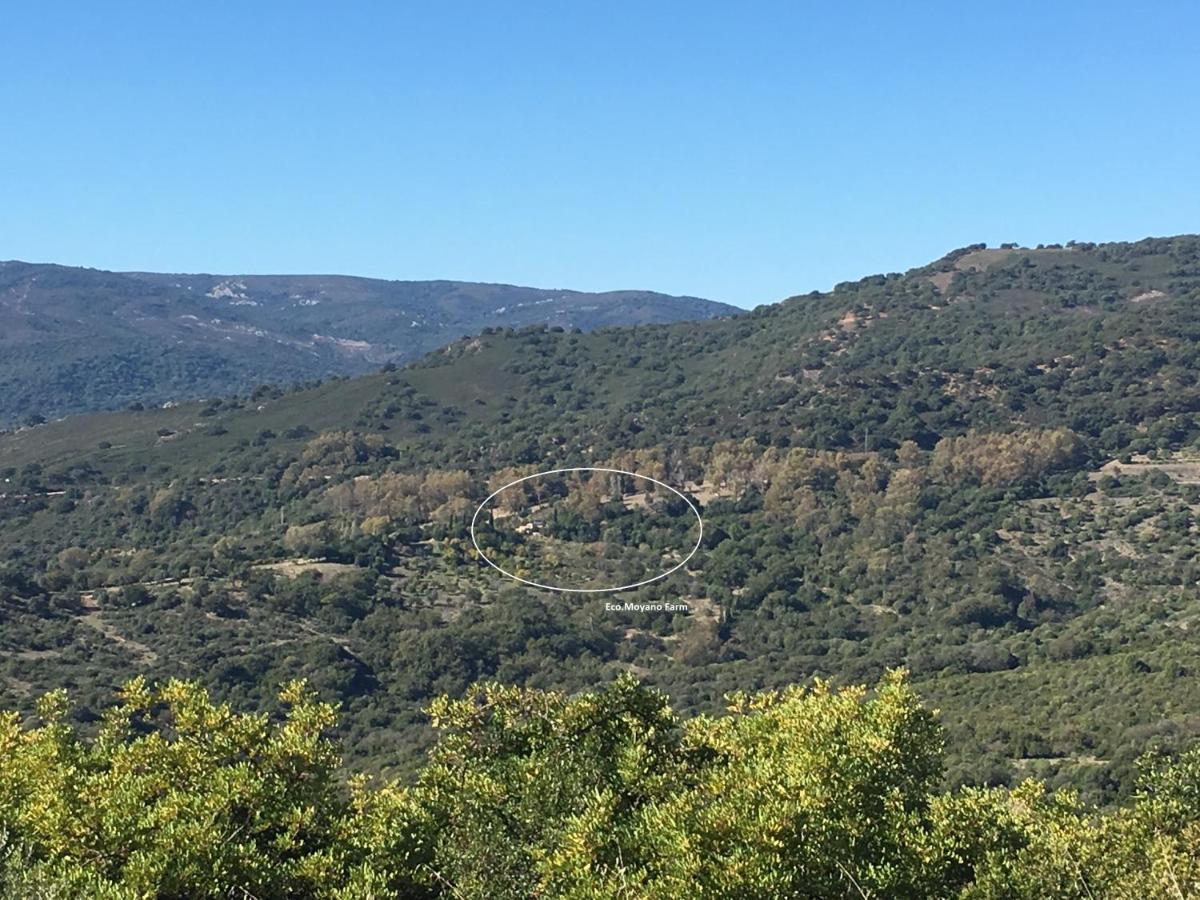 Eco Moyano Posada Gaucín Kültér fotó