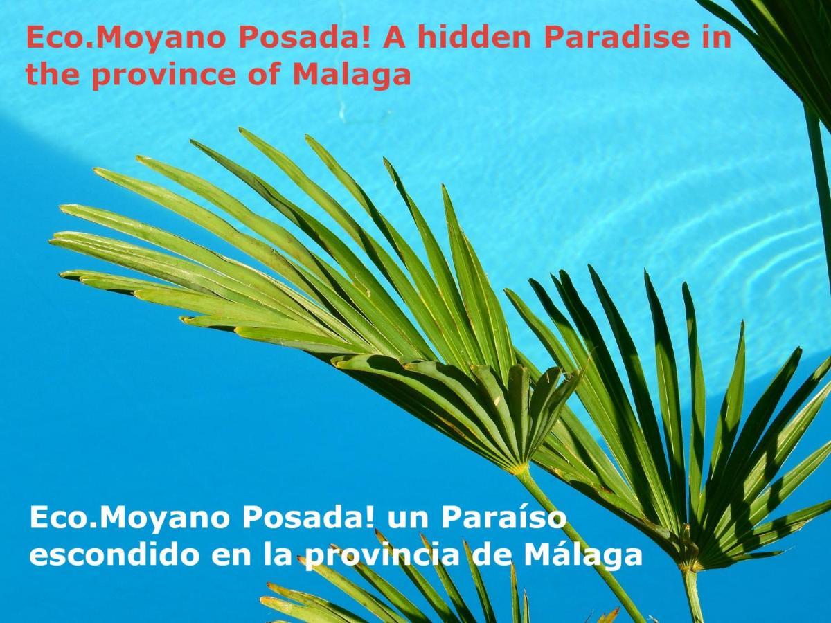 Eco Moyano Posada Gaucín Kültér fotó