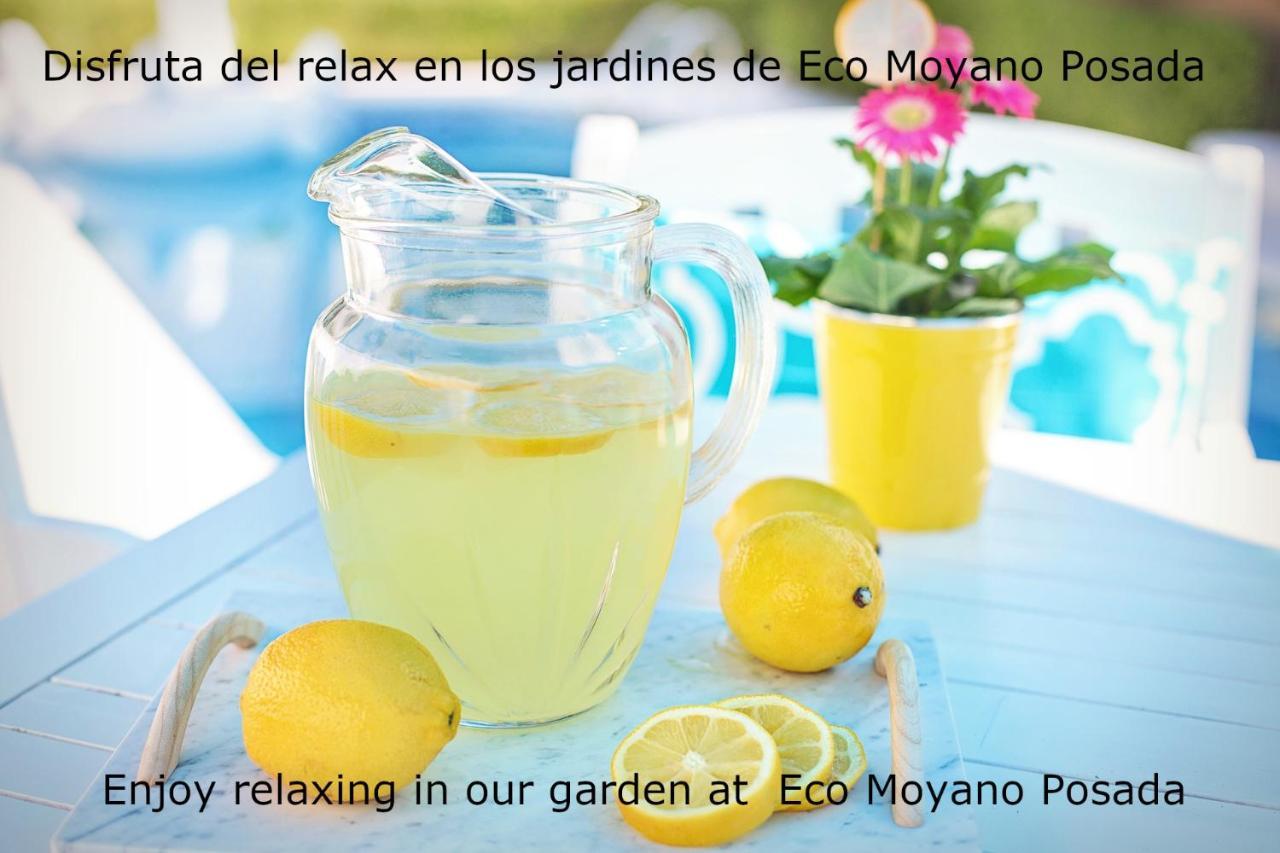Eco Moyano Posada Gaucín Kültér fotó