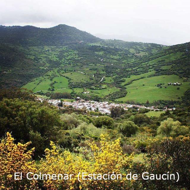 Eco Moyano Posada Villa Gaucín Kültér fotó