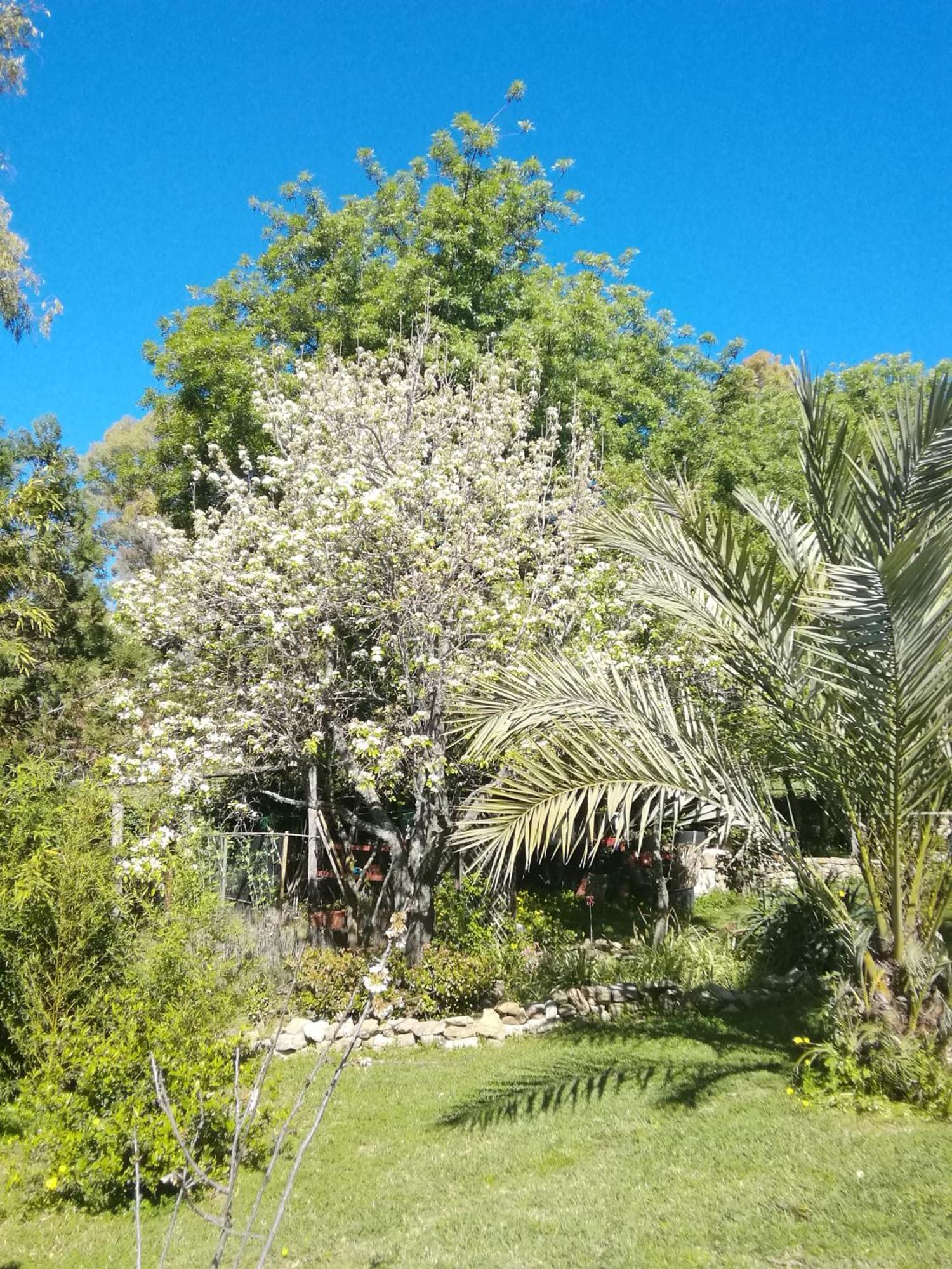 Eco Moyano Posada Gaucín Kültér fotó